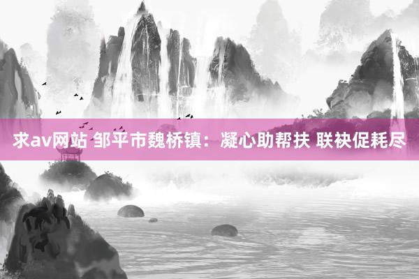 求av网站 邹平市魏桥镇：凝心助帮扶 联袂促耗尽