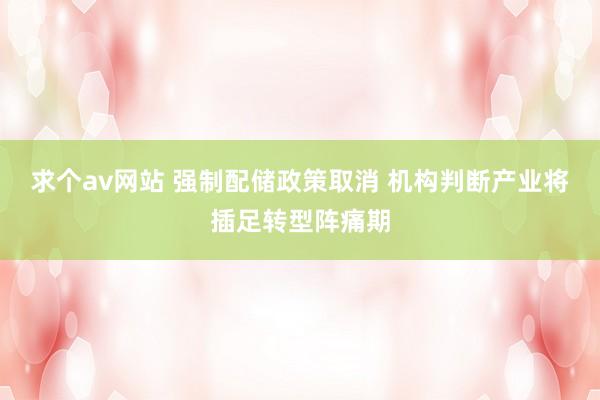 求个av网站 强制配储政策取消 机构判断产业将插足转型阵痛期
