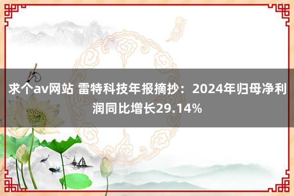 求个av网站 雷特科技年报摘抄：2024年归母净利润同比增长29.14%