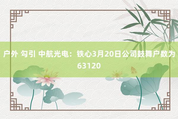 户外 勾引 中航光电：铁心3月20日公司鼓舞户数为63120