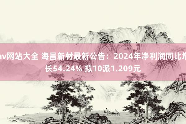 av网站大全 海昌新材最新公告：2024年净利润同比增长54.24% 拟10派1.209元