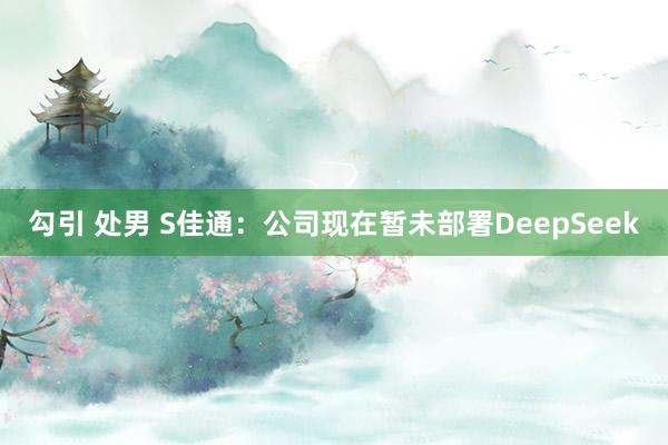 勾引 处男 S佳通：公司现在暂未部署DeepSeek