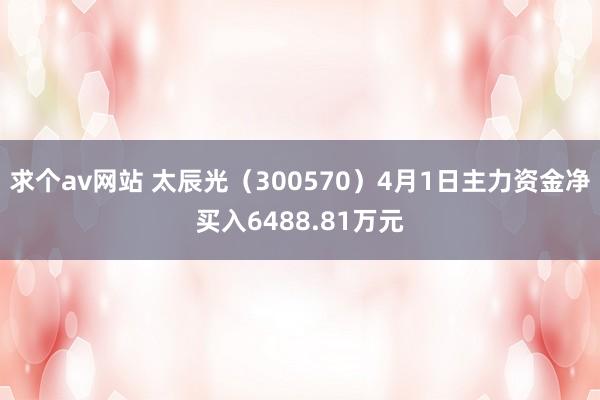 求个av网站 太辰光（300570）4月1日主力资金净买入6488.81万元
