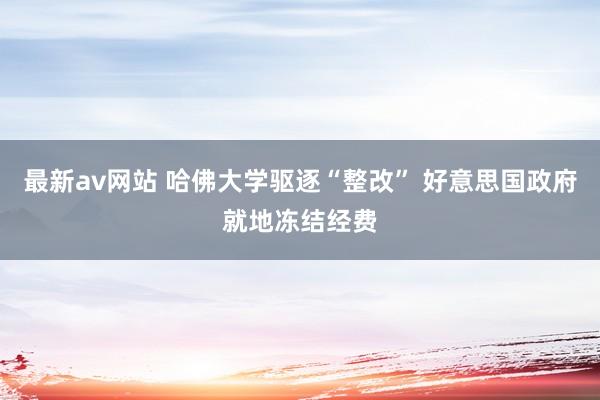 最新av网站 哈佛大学驱逐“整改” 好意思国政府就地冻结经费
