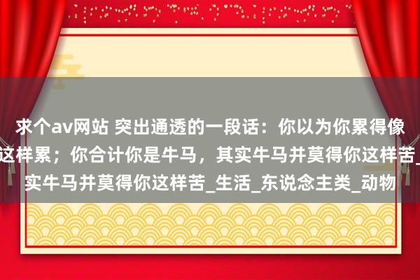 求个av网站 突出通透的一段话：你以为你累得像条狗，其实狗并莫得你这样累；你合计你是牛马，其实牛马并莫得你这样苦_生活_东说念主类_动物
