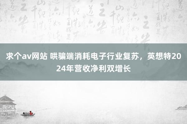 求个av网站 哄骗端消耗电子行业复苏，英想特2024年营收净利双增长