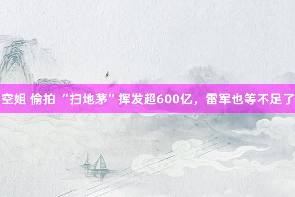 空姐 偷拍 “扫地茅”挥发超600亿，雷军也等不足了