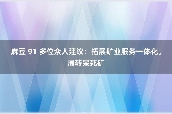 麻豆 91 多位众人建议：拓展矿业服务一体化，周转呆死矿