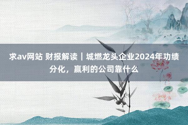求av网站 财报解读｜城燃龙头企业2024年功绩分化，赢利的公司靠什么