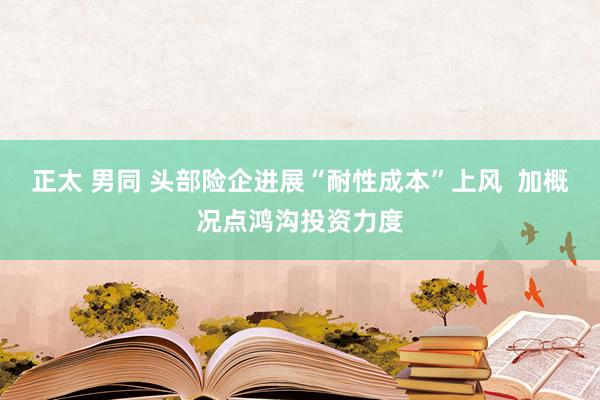 正太 男同 头部险企进展“耐性成本”上风  加概况点鸿沟投资力度