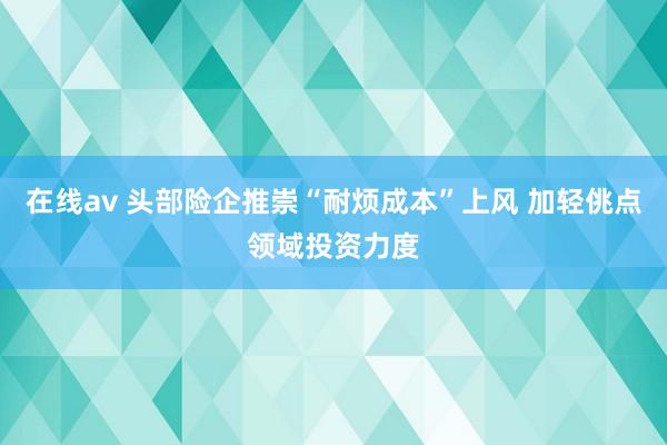在线av 头部险企推崇“耐烦成本”上风 加轻佻点领域投资力度