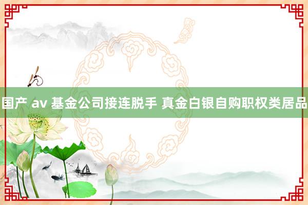 国产 av 基金公司接连脱手 真金白银自购职权类居品