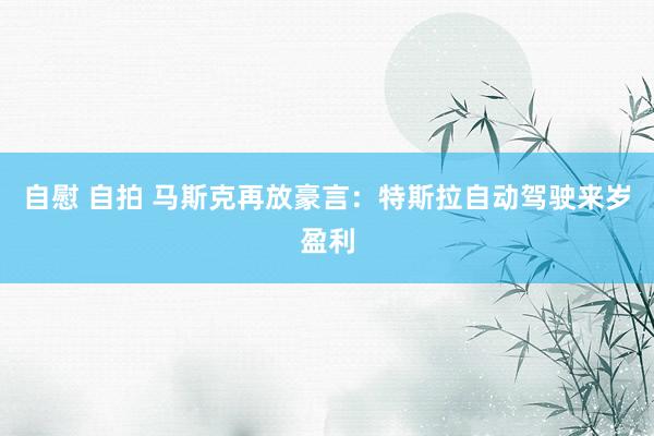 自慰 自拍 马斯克再放豪言：特斯拉自动驾驶来岁盈利