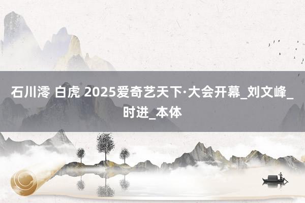 石川澪 白虎 2025爱奇艺天下·大会开幕_刘文峰_时进_本体