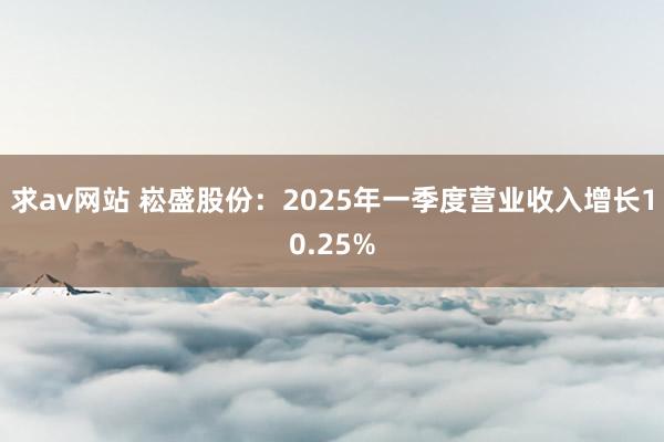 求av网站 崧盛股份：2025年一季度营业收入增长10.25%