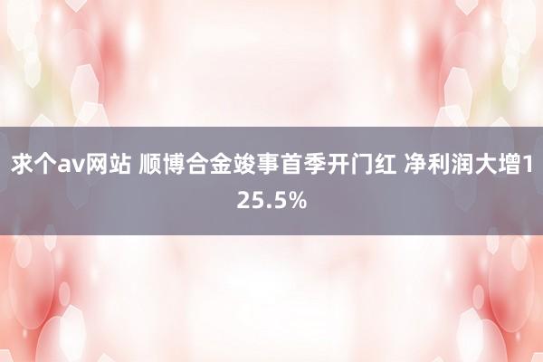 求个av网站 顺博合金竣事首季开门红 净利润大增125.5%
