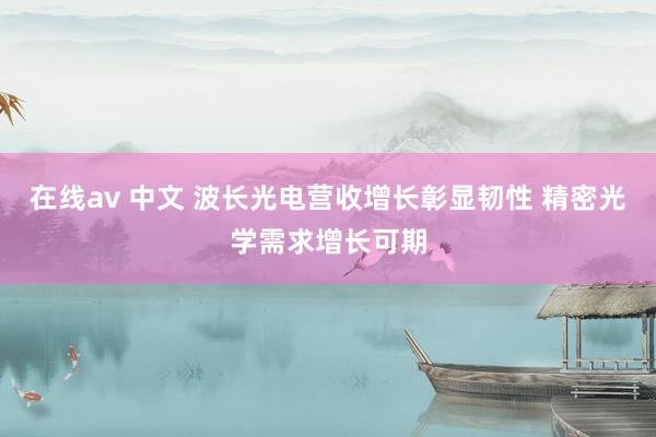 在线av 中文 波长光电营收增长彰显韧性 精密光学需求增长可期