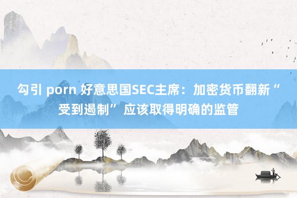 勾引 porn 好意思国SEC主席：加密货币翻新“受到遏制” 应该取得明确的监管