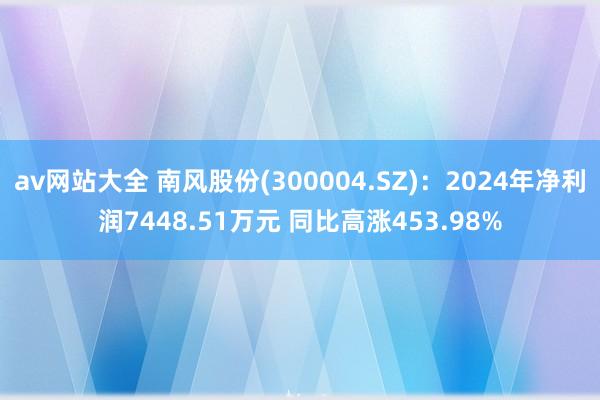 av网站大全 南风股份(300004.SZ)：2024年净利润7448.51万元 同比高涨453.98%